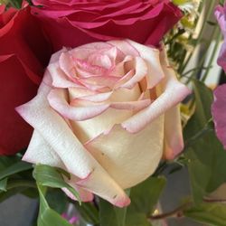 Elements Florist - Half opened, browning roses with thorns left in.