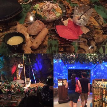 Rainforest Cafe - American Near Me - Auburn Hills, Michigan Rainforest Cafe - American Near Me - Auburn Hills, Michigan