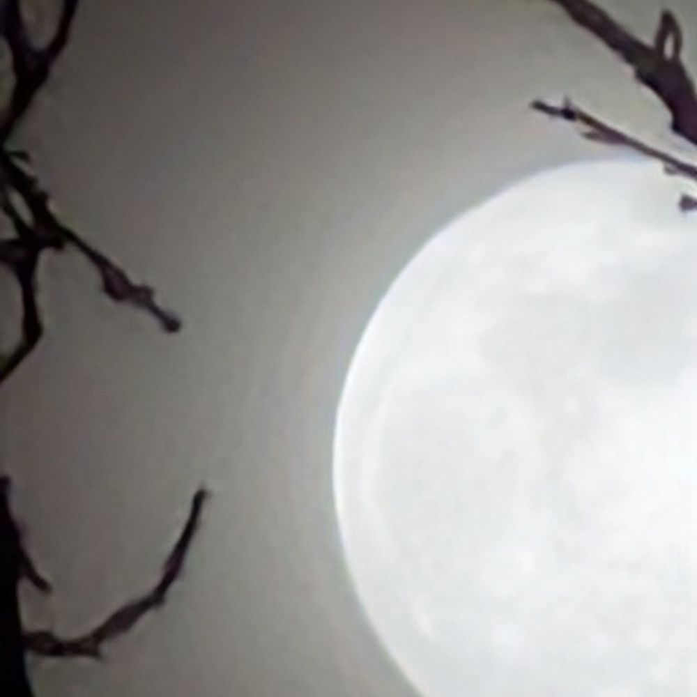 Full moon near the restaurant