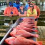 Photo of Mega-Bite Fishing Charters