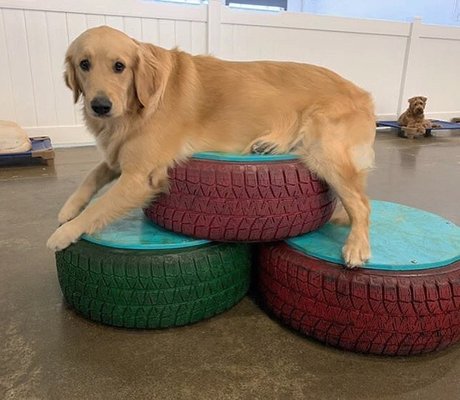 Crate Escape by null