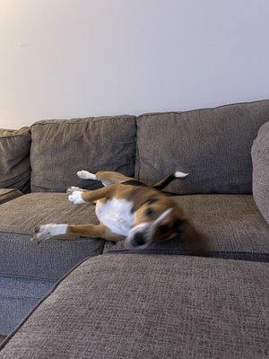 Appliance Repair - We can service all of your appliance repairs!