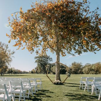 Bella Bloom - Arch - Floral Designers Near Me - Sacramento, California Bella Bloom - Arch - Floral Designers Near Me - Sacramento, California