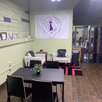 The Kitty Beautiful - Dining area - Cafes Near Me - Orlando, Florida The Kitty Beautiful - Dining area - Cafes Near Me - Orlando, Florida