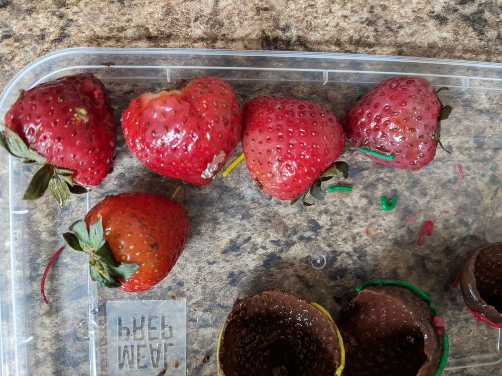 EDIBLE ARRANGEMENTS Updated October 2024 14 Photos & 33 Reviews