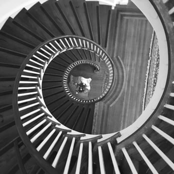 Lowndes Grove - Spiral Staircase in the Main House - Venues & Event Spaces Near Me - Charleston, South Carolina