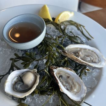 Rusty Pelican - Miami - Seafood Near Me - Key Biscayne, Florida