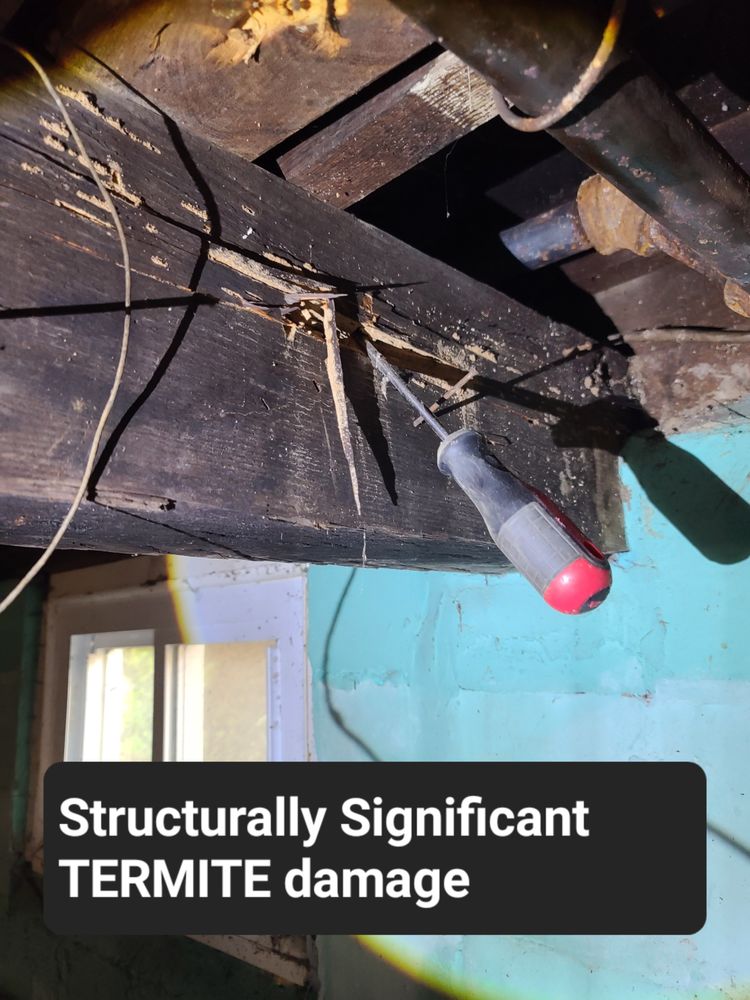 Accucheck Home Inspections - mold inspector in Paramus, NJ