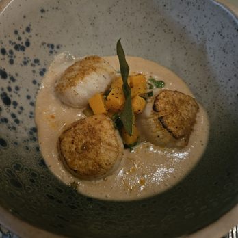 Perle Mesta - Sea Scallops - New American Near Me - Oklahoma City, Oklahoma Perle Mesta - Sea Scallops - New American Near Me - Oklahoma City, Oklahoma