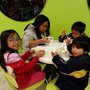 Photo of Yogurt Journey