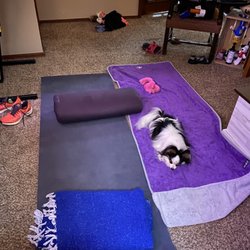 Free Spirit Yoga Studio & Meditation Sanctuary - Yoga mats and a dog