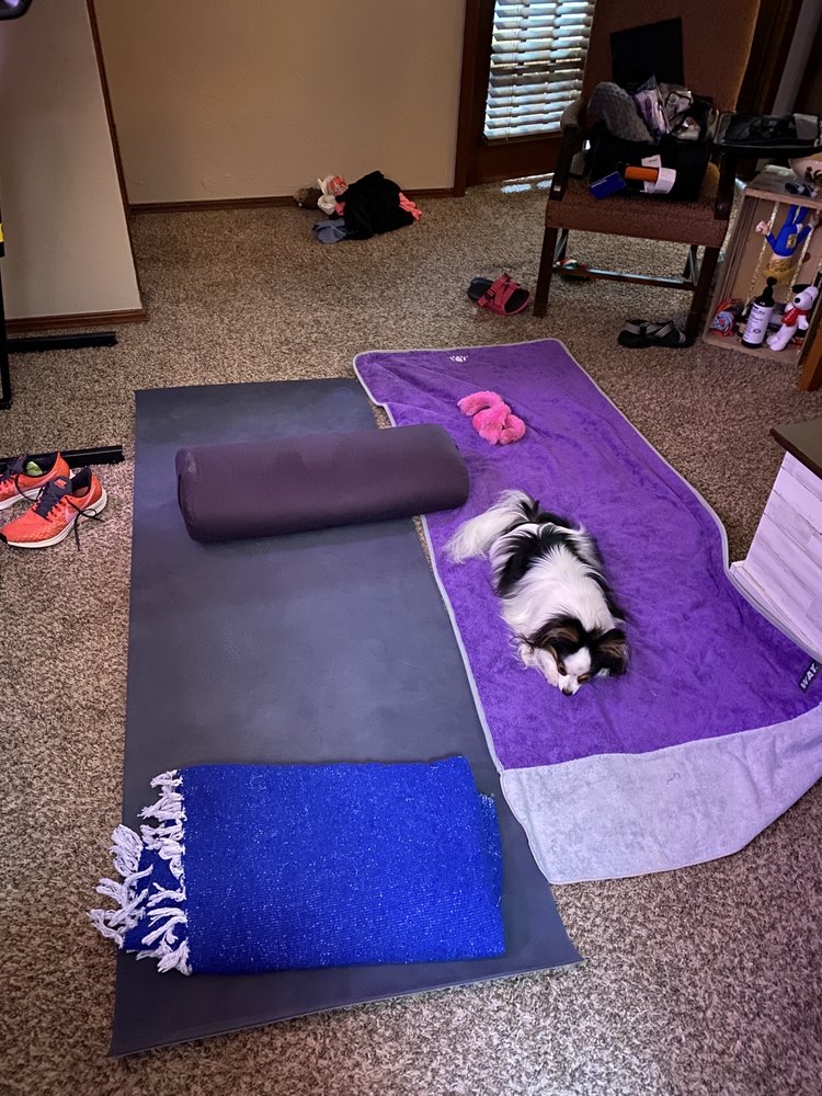 Free Spirit Yoga Studio & Meditation Sanctuary Logo
