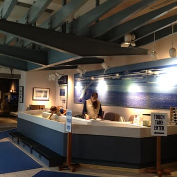 Sea Center Texas - Touch tanks - Tours Near Me - Lake Jackson Tx, Texas