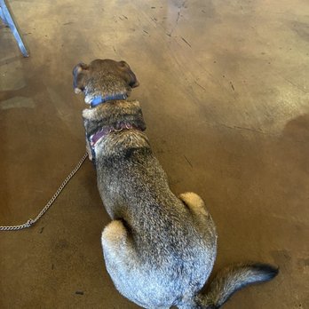 Mike Hess Brewing - North Park - Enjoying the cool ground inside - Breweries Near Me - San Diego, California