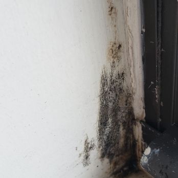 Mac Properties - Chicago - Fuzzy black mold - Apartments Near Me - Chicago, Illinois