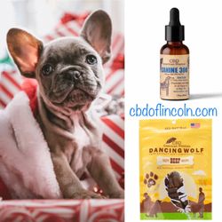 CBD American Shaman