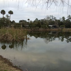 Econfina River Resort - One of the ponds on the property.