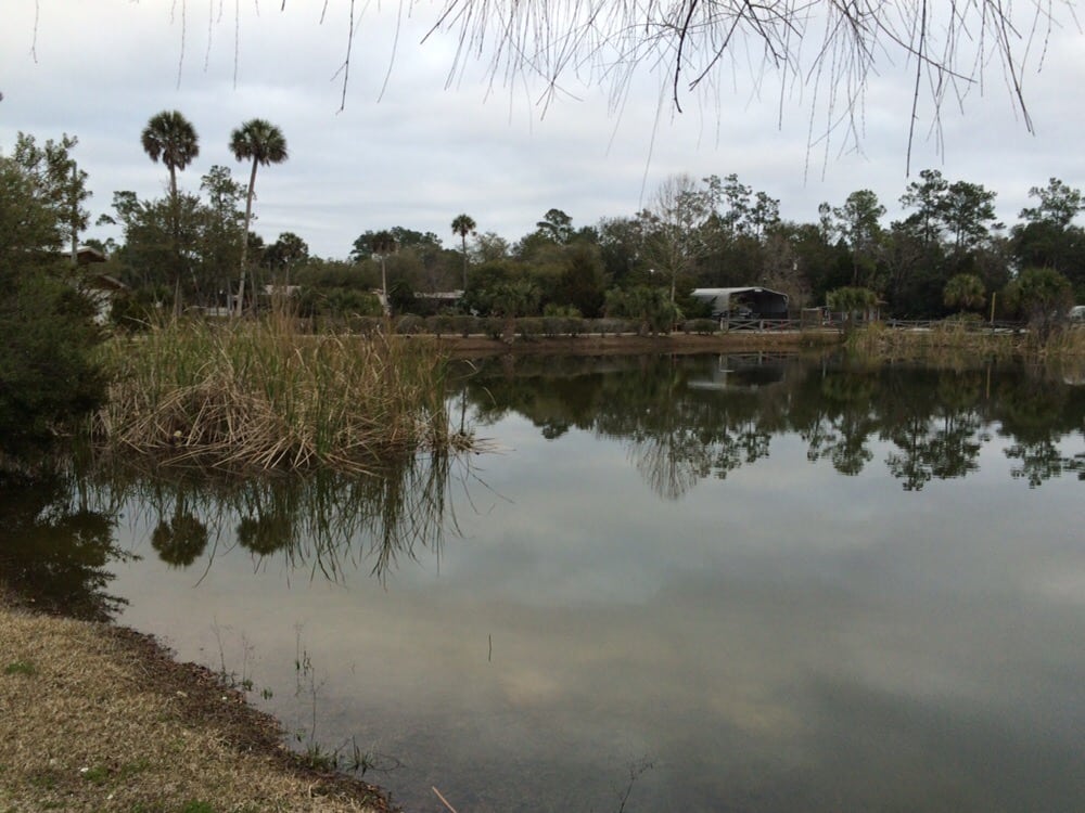 ECONFINA RIVER RESORT Updated September 2024 4705 Econfina River Rd