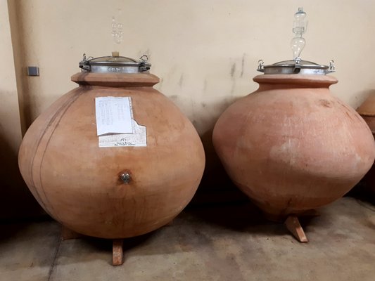 Domaine Jean-François Ganevat by null