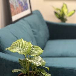 YiQi Medical Group - Comfy waiting area.