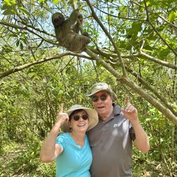 Vacations Abound - Tour to rainforest sloth refuge. stayed at Secrets Papagayo, Guanecaste, Costa Rica