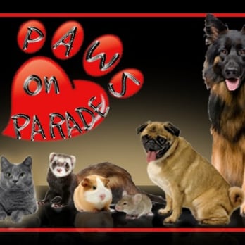 Paws On Parade - Dog Walkers Near Me Paws On Parade - Dog Walkers Near Me