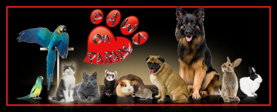 Paws On Parade - pet boarding facility in Abingdon, MD