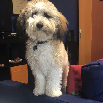My Pet's Vet - San Antonio - Veterinarians Near Me - San Antonio, Texas My Pet's Vet - San Antonio - Veterinarians Near Me - San Antonio, Texas
