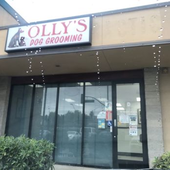 Olly’s Dog Grooming - Storefront - Pet Groomers Near Me - San Jose, California Olly’s Dog Grooming - Storefront - Pet Groomers Near Me - San Jose, California