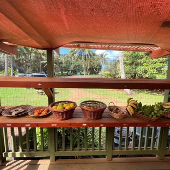 Moloa'a Sunrise Juice Bar - Fresh fruits for sale - Juice Bars & Smoothies Near Me - Moloaa, Hawaii Moloa'a Sunrise Juice Bar - Fresh fruits for sale - Juice Bars & Smoothies Near Me - Moloaa, Hawaii