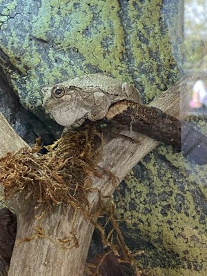 Anita B. Gorman Conservation Discovery Center by null