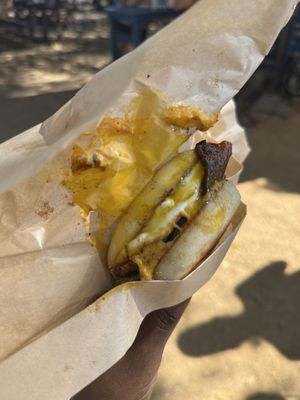 The Marylander by null