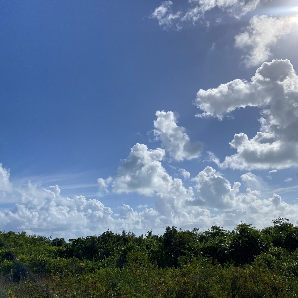 Atelier Playa Mujeres - Resorts Near Me - Cancún, ROO