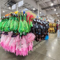 Costco Wholesale