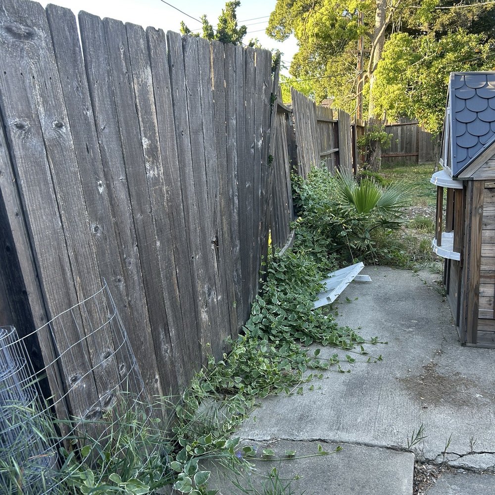 Fantastic Fence - Fence BEFORE - Fences & Gates Near Me - Rocklin, California Fantastic Fence - Fence BEFORE - Fences & Gates Near Me - Rocklin, California