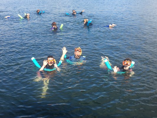 CRYSTAL RIVER MANATEE TOURS - Updated January 2025 - 27 Photos & 20