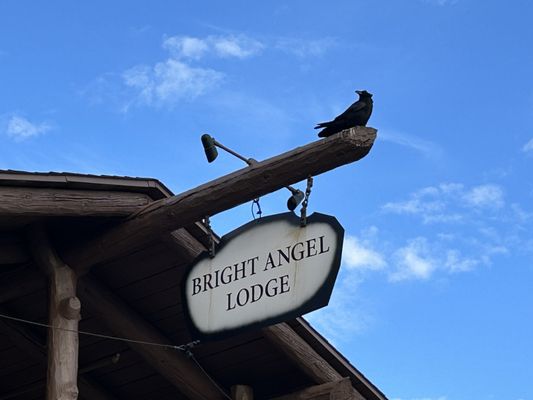 Bright Angel Lodge by null