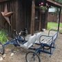 Photo of Island Acres Resort Motel