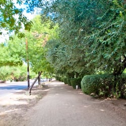 Murphy's Bridle Path - looking North