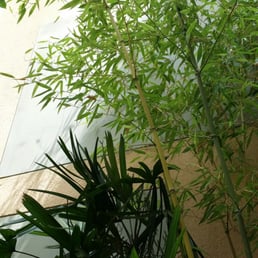 Inside Inside