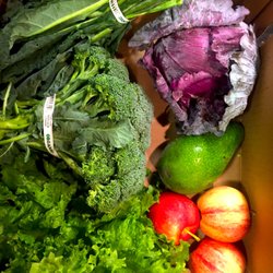 Blosser Urban Garden - Delivery on 28 January: cavolo nero, red cabbage, broccoli, lettuce, apple, bacon avocado. Yum!