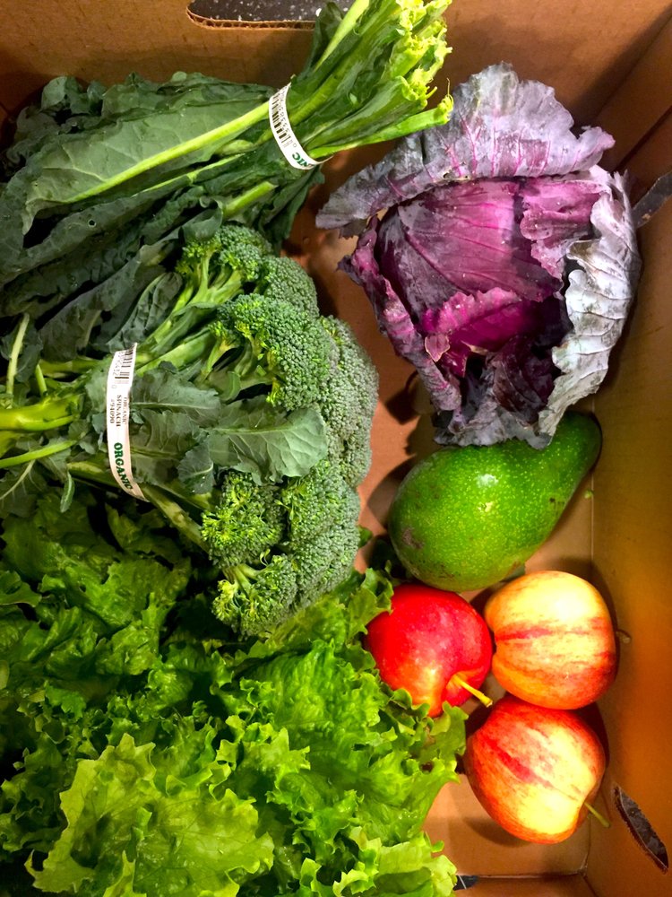 BLOSSER URBAN GARDEN Updated September 2024 915 South Blosser