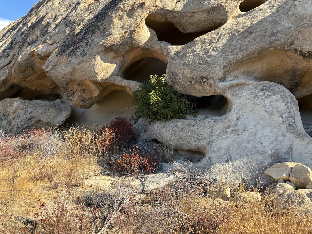 Cienega Canyon Logo