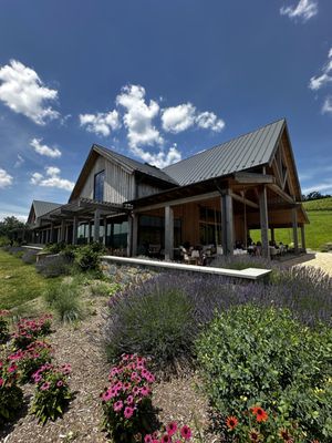 Crimson Lane Vineyards by null