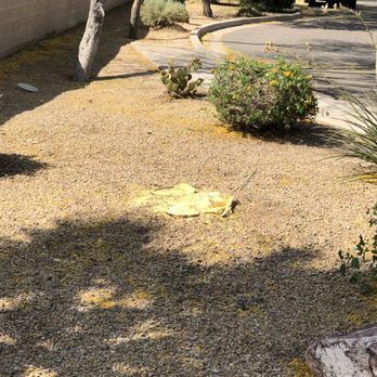 Yahweh tree and landscape - Leveled to the ground, with all of the debris cleared - Tree Services Near Me Yahweh tree and landscape - Leveled to the ground, with all of the debris cleared - Tree Services Near Me