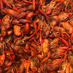 WaWa's Seafood Shack