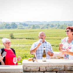 Divignes - Dégustation immersive au cœur de la Côte de Beaune