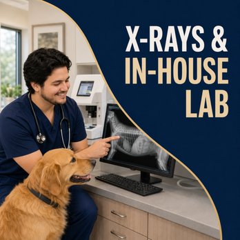 Porter Veterinary Center - Veterinarians Near Me - Northridge, California Porter Veterinary Center - Veterinarians Near Me - Northridge, California