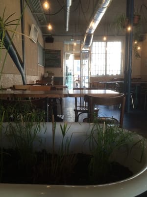 Le Bieristan by null