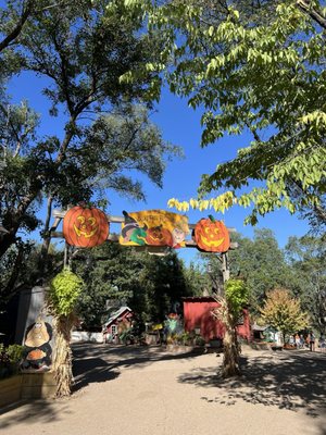 Vala's Pumpkin Patch & Apple Orchard by null